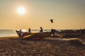Beach nearby, beach yoga, beach bar