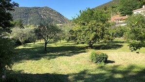 Un espacio al aire libre con césped, árboles y una montaña al fondo.
