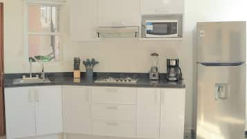 Apartamento Confort | Cocina privada | Frigorífico grande, microondas, horno y placa de cocina