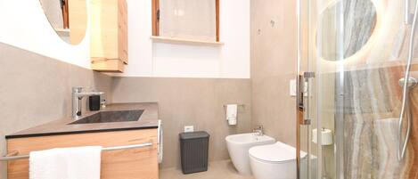 Shower, hair dryer, bidet, towels