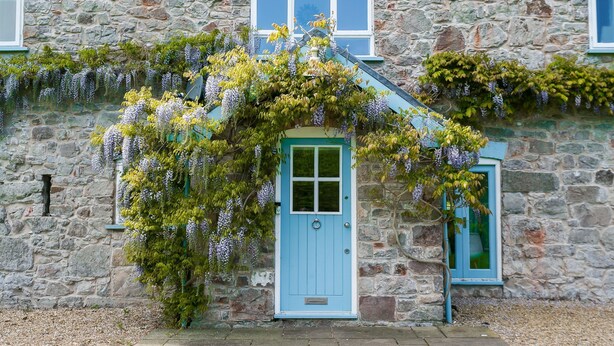 A stone building with a blue door, a small window, and a hanging vine. - Dulas Bach - sleeps 12 guests  in 6 bedrooms (Colwyn Bay)