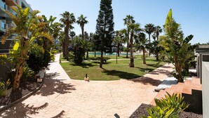 A paved walkway with palm trees and a pool in the background.