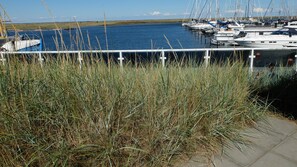 Ein Hafen mit vertäuten Booten, eine Rasenfläche im Vordergrund und ein klarer Himmel.