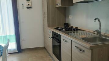Fridge, oven, stovetop, cookware/dishes/utensils