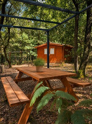 Ein Holztisch mit Bänken, eine kleine Holzhütte und ein Metall-Pergola in einer bewaldeten Gegend.