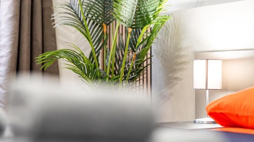 A modern bedroom with a bed, a bedside lamp, and a potted plant.