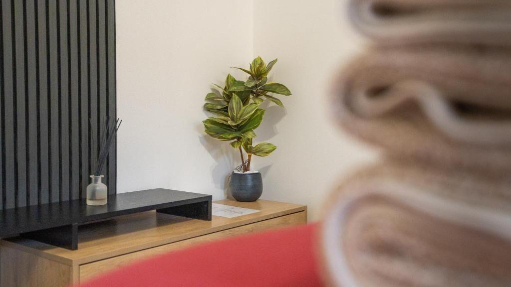 A modern room with a wooden console table, a potted plant, and a black TV stand.