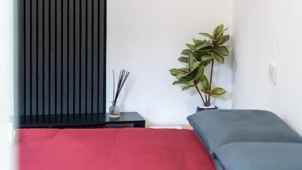 Un dormitorio moderno con cama roja, almohada gris, mesita de noche negra, planta en maceta y un aplique de pared.