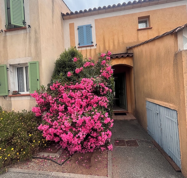A building with a small garden area featuring pink flowers and a blue door. - Bright house with terrace and garden in Fréjus (Fréjus)