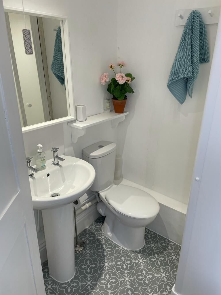 A bathroom with a white sink, toilet, and a small potted plant on the wall.