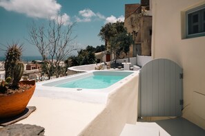 Una piscina en la azotea con una pared blanca y una puerta gris, rodeada de plantas en macetas y árboles.
