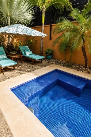 Pool - Private Villa in a Tropical Beachfront Paradise (Playa Langosta)