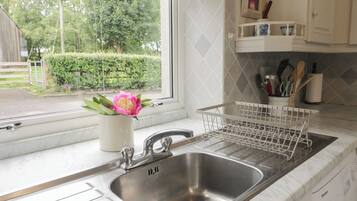 Una cocina con un lavamanos de acero inoxidable, un escurreplatos y una ventana con vistas al verdor.