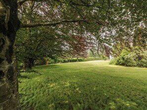 A park with a grassy lawn, trees, and a pathway.
