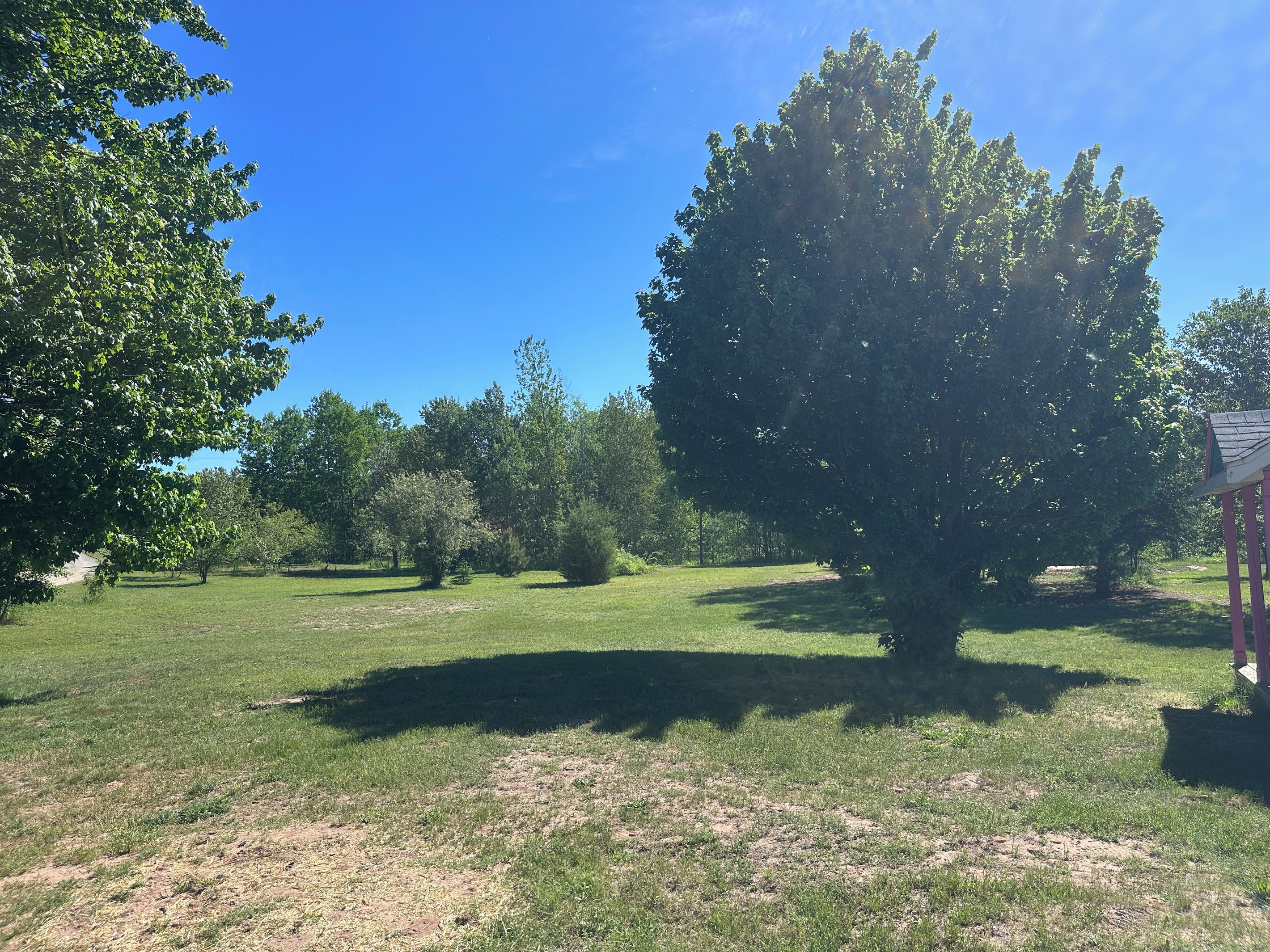 A grassy field with trees and a building.