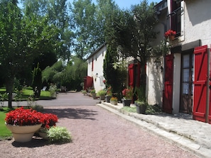 A pathway leading to a building with red shutters, surrounded by greenery and potted plants.