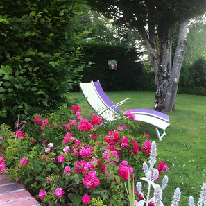 A garden with a bench and blooming flowers.