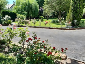 Une rue résidentielle bordée de jardins où l’on peut admirer des rosiers et une pelouse bien entretenue.