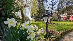 A garden with daffodils, a stone pathway, and a traditional lantern.