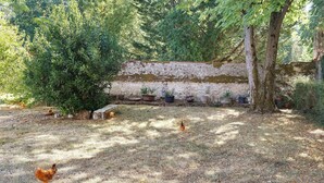 Ein rustikaler Außenbereich mit einer Steinmauer, Topfpflanzen und Hühnern.