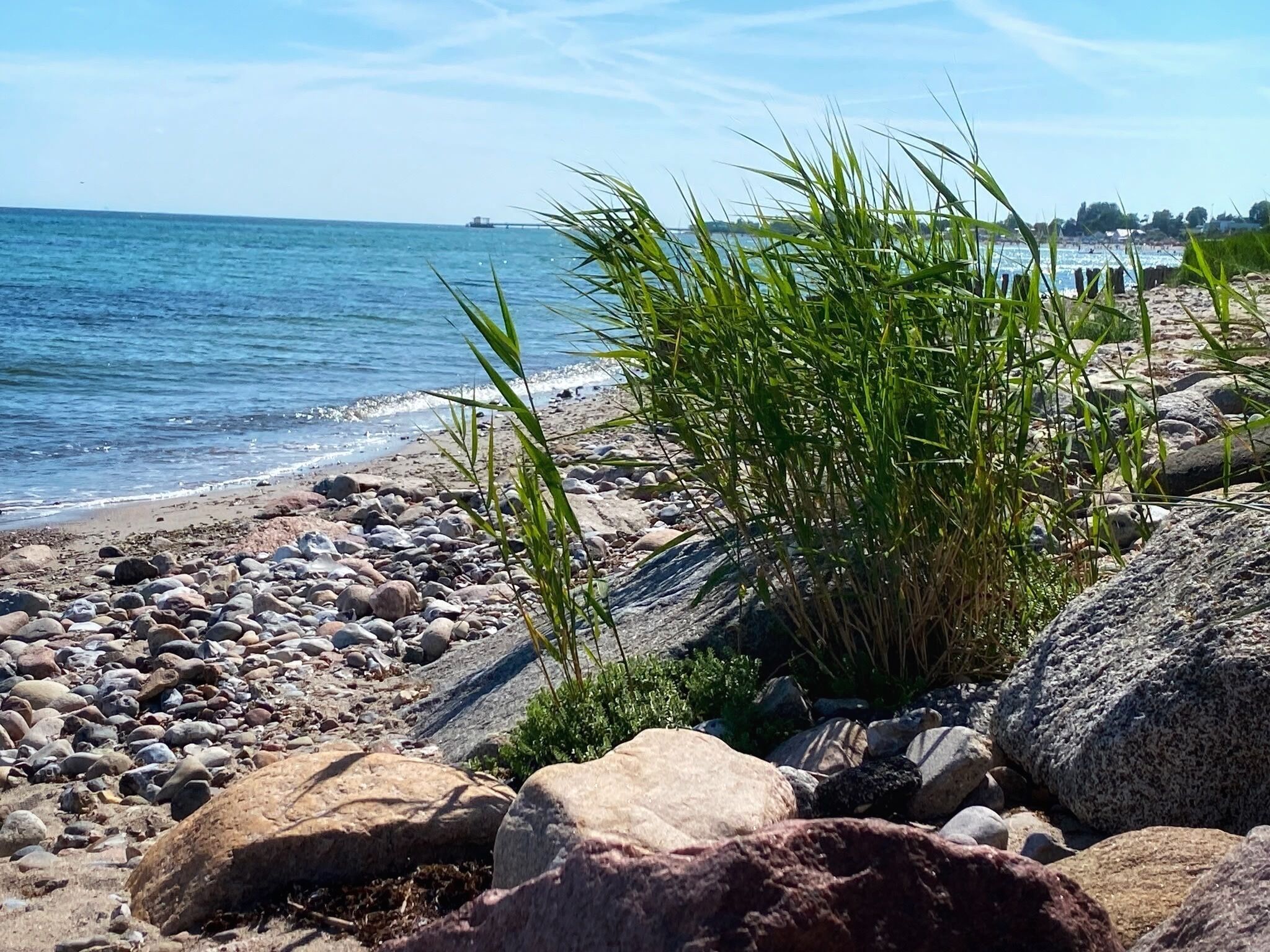 Una platja rocosa amb una vista clara del mar i edificis allunyats.