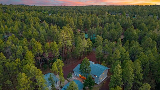 Ilmakuva metsäisestä alueesta, jossa on suuri rakennus, jonka sininen katto ja useat ikkunat erottuvat.