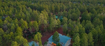 Pinetop Pines Retreat Near Woodland Lake