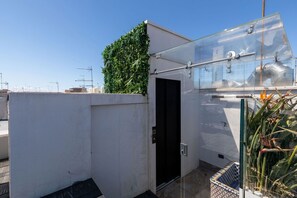 Terraza en la azotea con cerramiento de vidrio, una puerta y una pequeña planta en maceta.