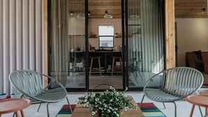 A modern interior with sliding glass doors leading to a dining area, two metal chairs, a wooden table with a plant, and a colorful rug.