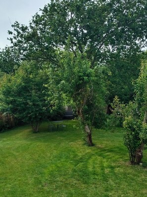 A grassy outdoor area with trees and a small table with chairs. - Quiet house 600 m from Morgat beach with beautiful wooded garden (Crozon)