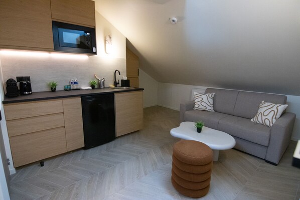 Living area - Studio-Family-Wet room-City view (Boulogne-Billancourt)