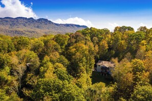 A house surrounded by dense forest with a mountain in the background.