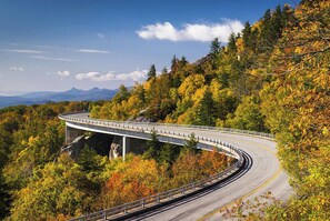 A winding road with a bridge over a forested area.