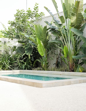 A swimming pool surrounded by lush greenery and a white wall. - Ino Plaza Cocody (Abidjan)