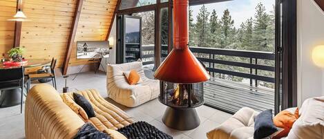 TV, fireplace, books