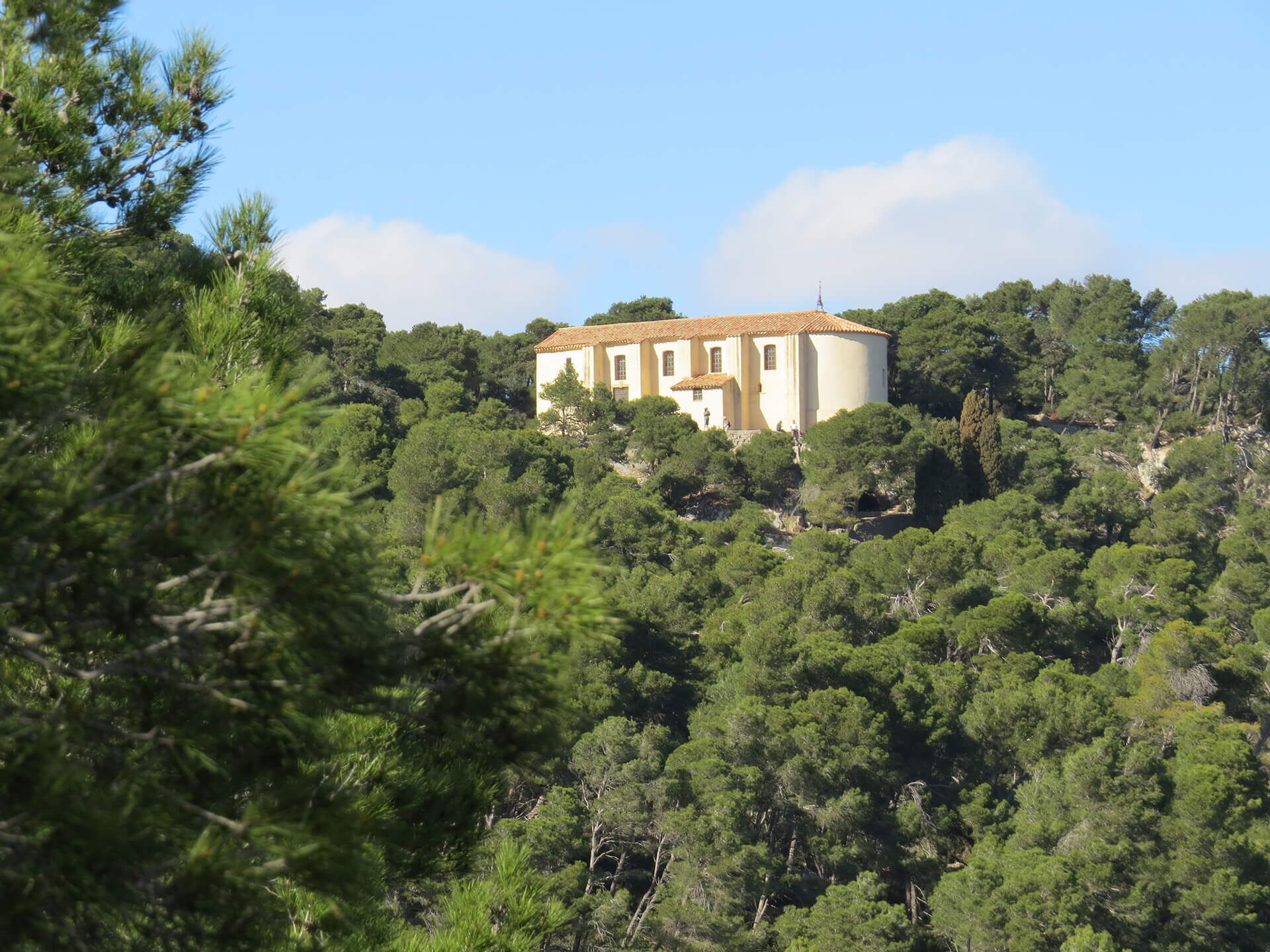 A building surrounded by dense forest.