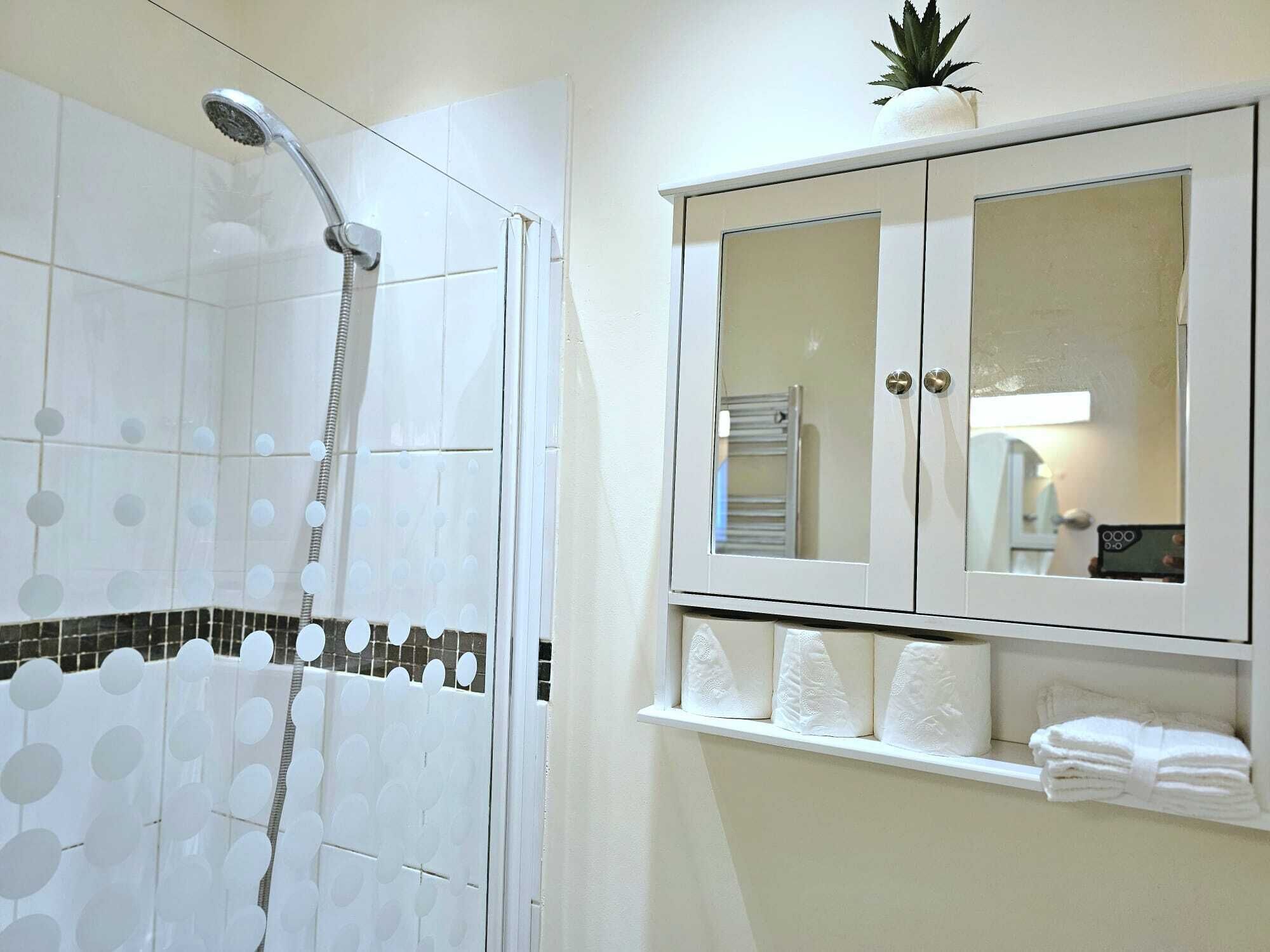 Hair dryer, towels, soap, toilet paper
