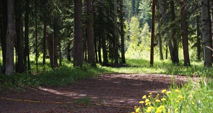 #2 Tent and RV site