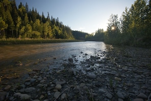 A riverbank with rocks and trees.