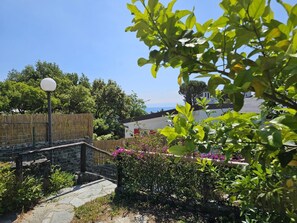 Ein Garten mit einem Kiesweg, einem Holzzaun und einer Lampe.