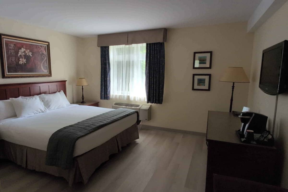 A hotel room with a bed, a desk, a chair, a television, a window with curtains, and a wall-mounted picture.