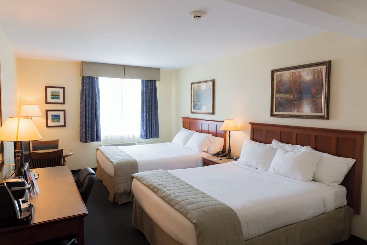 Comfort Single Room | Bathroom | Combined shower/bathtub, hair dryer, towels, soap