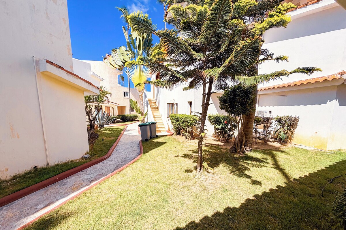 A courtyard with a pathway, palm trees, and a building with a tiled roof.