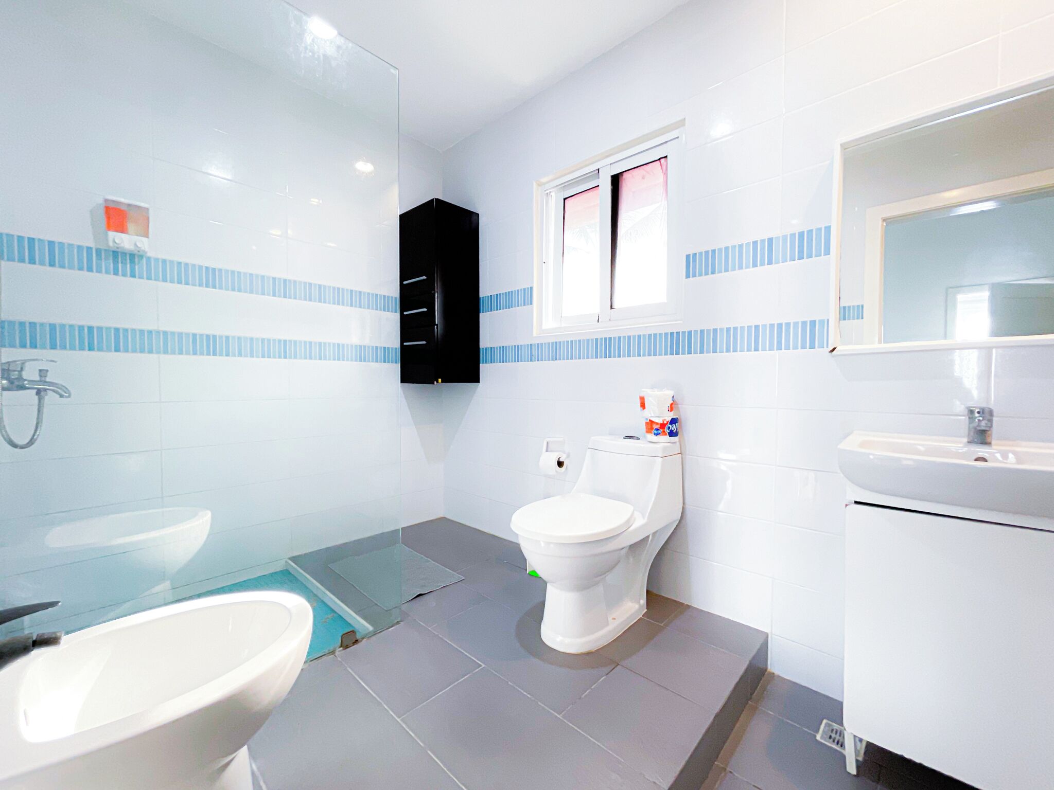 Een badkamer met een douchecabine van glas, toilet, wastafel en een kast.