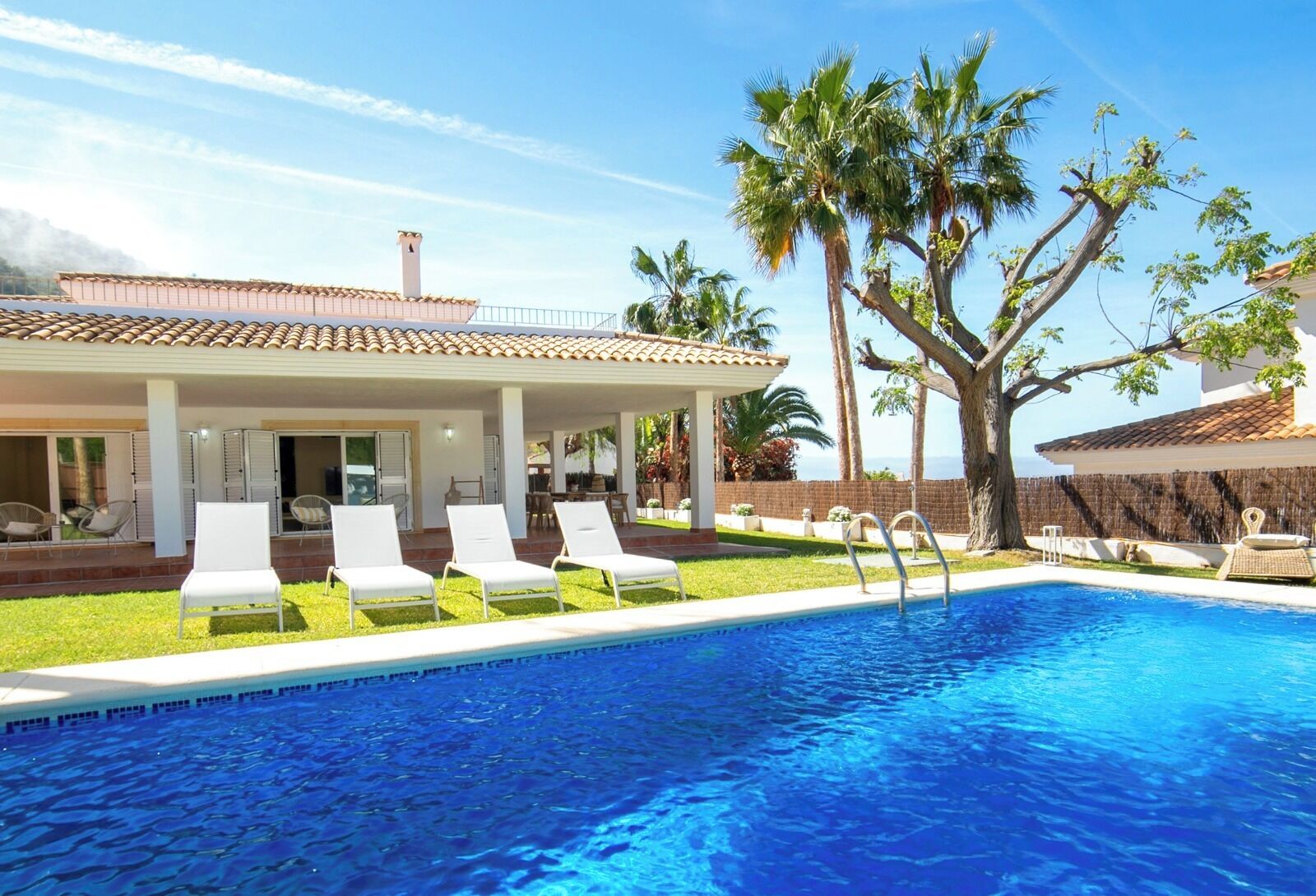 A pool with lounge chairs, a covered patio, and palm trees.