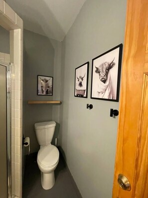 Een badkamer met een toilet, een douche en twee afbeeldingen in een lijst aan de muur.