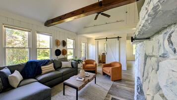 TV, fireplace, books