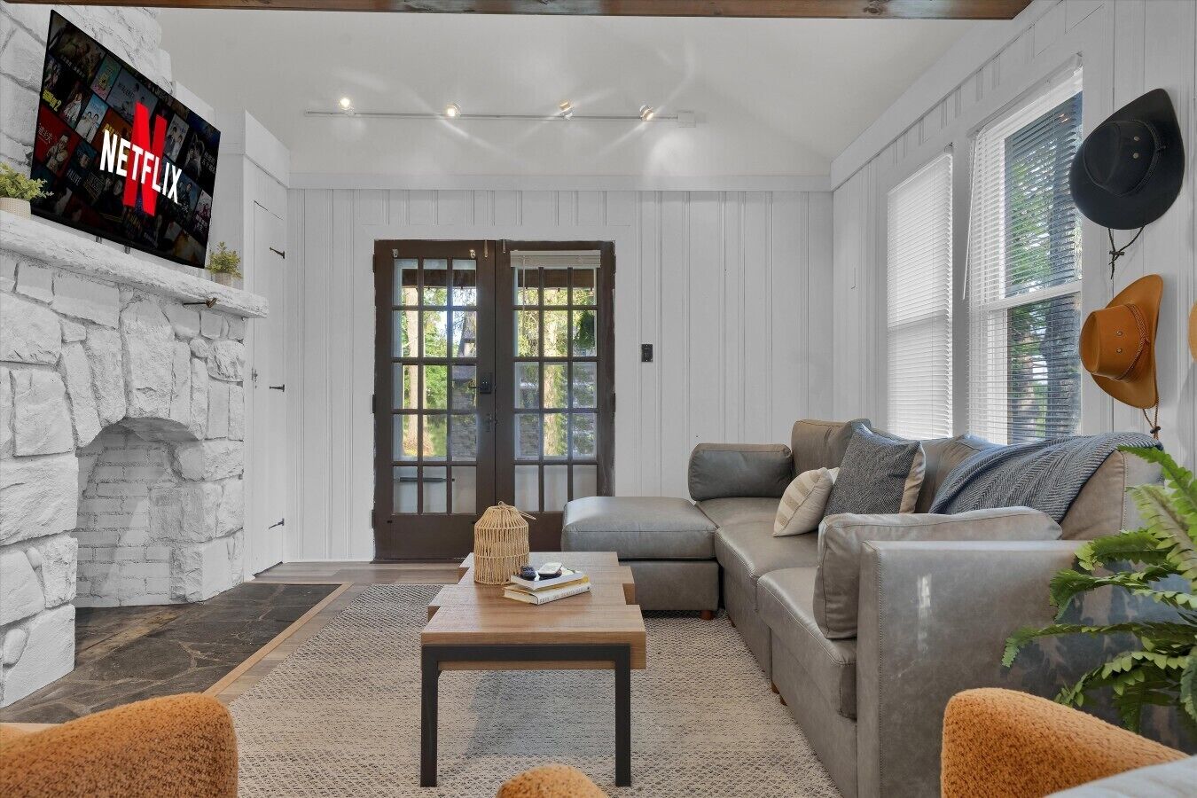 TV, fireplace, books