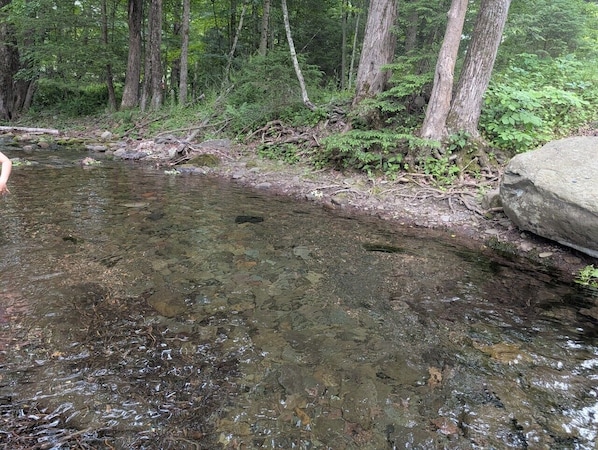 A clear stream in a forested area with rocks and trees.