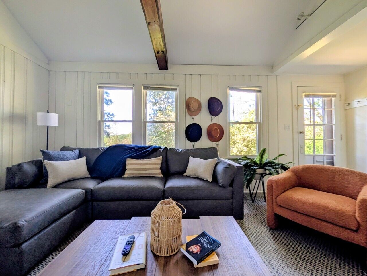 TV, fireplace, books